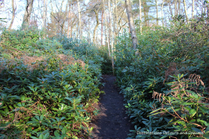 path at Watts Artist Studio Path to Watts Studios at Watts Gallery - Artists' Village in Compton, Surrey