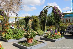 Raised flowers beds in the Artists Garden at Carlsbad Ranch Flower Fields