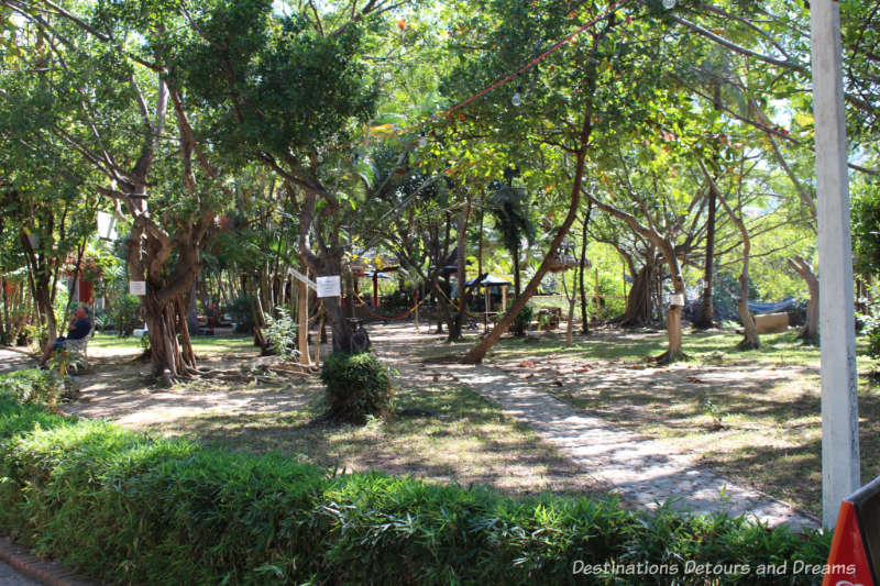 Park area on Isla Cuale: Puerto Vallarta's Island Oasis