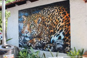 Street art on Isla Cuale: Puerto Vallarta's Island Oasis