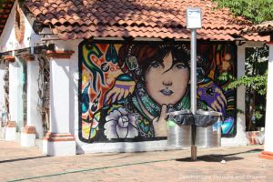 Street art on Isla Cuale: Puerto Vallarta's Island Oasis