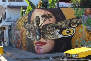 Street art by Misael Lopez and Joey Real wrapping the wall beside the Hive Studio in Puerto Vallarta echoes the theme of the Hive with a swarm of bees