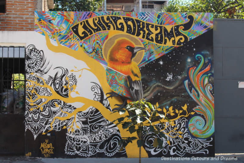 Living Dreams street mural by Misael in Puero Vallarta features a bird in the centre