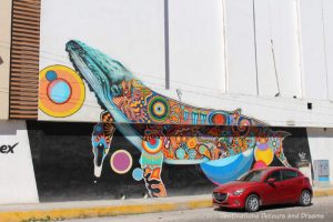 Colourful whale street art in Puerto Vallarta