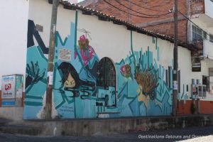 Puerto Vallart street art: two human heads and two sad fish submerged in a geometric sea of turquoise and blue