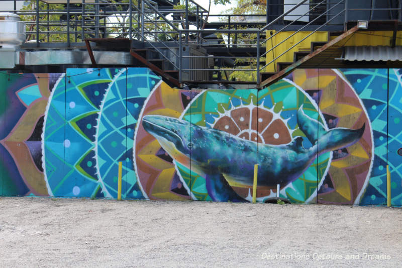 Puerto Vallarta street art: blue whale inside several colourful concentric circles