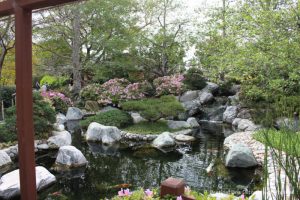 Japanese Friendship Garden pond