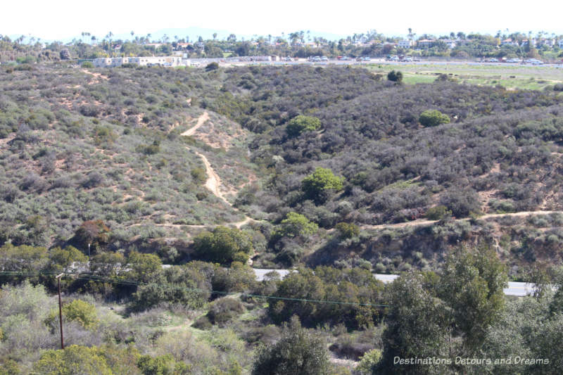 Florida Canyon Native Plant Preserve in San Diego