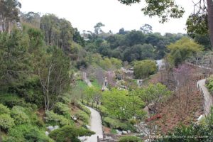 Japanese Friendship Garden in Balboa Park