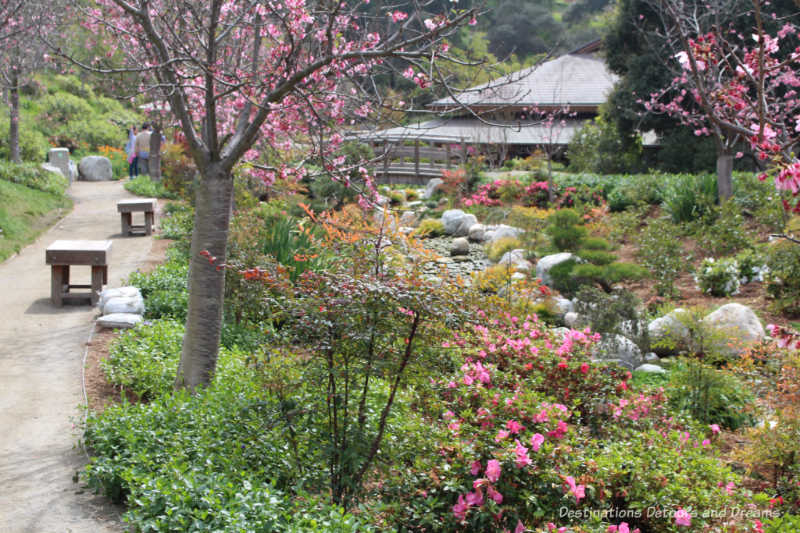Pathway in the Japanese Friendship Garden