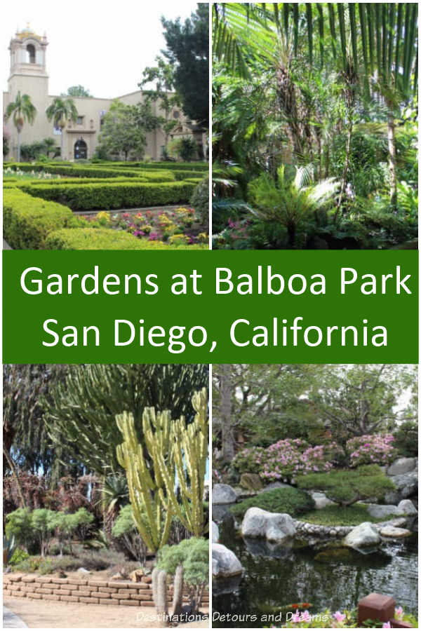 Balboa Park in San Diego, California contains several gardens for visitors to enjoy #California #SanDiego #garden #park 