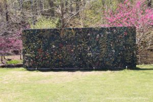 Mural on grounds of Crystal Bridges Museum of American Art