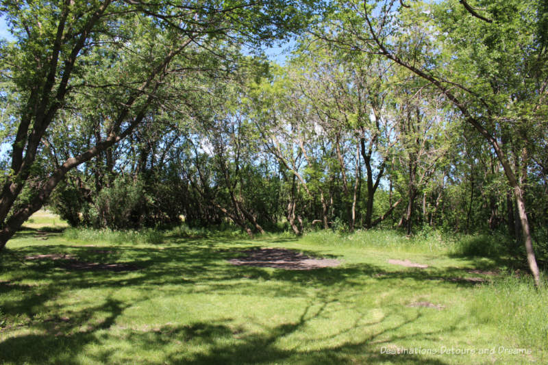 Former homestead area at Living Prairie Museum in Winnipeg