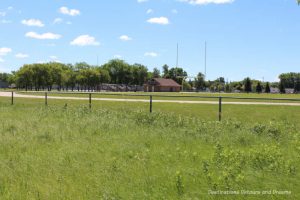 Living Prairie Museum tall grass prairie field with manicured playing field behind it