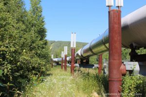 Alaska pipeline at start of Gold Dredge 8 tour near Fairbanks