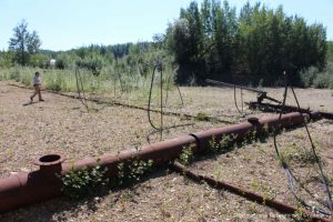 Water pumping apparatus for gold dredge mining on the Alaska Gold Dredge 8 tour