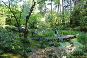 77-log bridge at Nitobe Memorial Garden in Vancouver