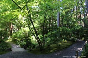 Forest walk at Nitobe Memorial Garden in Vancouver, BC