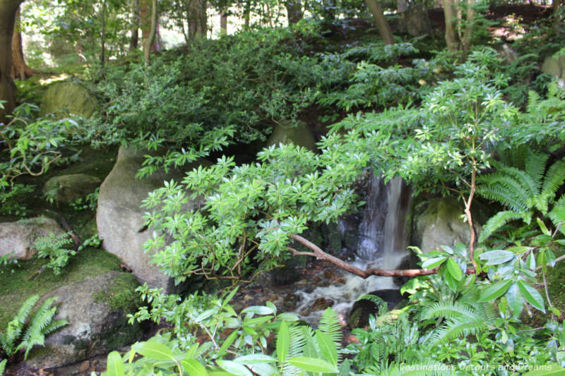 Water at Nitobe Memorial Garden in Vancouver BC