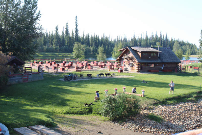 Trail Breaker Kennel of sled dogs in Fairbanks, Alaska