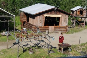 Salmon drying on racks at Chena Village in Fairbanks, Alaska