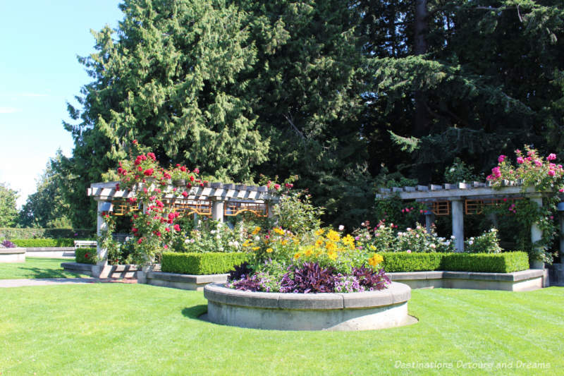 Bowers of roses at the UBC Rose Garden in Vancouver