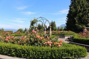 UBC Rose Garden in Vancouver, British Columbia
