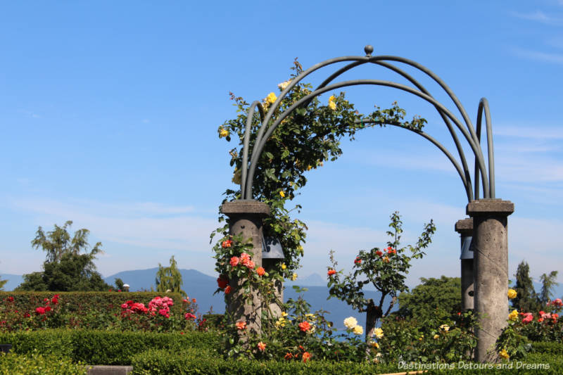 University of British Columbia Rose Garden