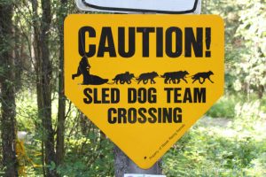Sled dog crossing sign near Chena Hot Springs Kennel