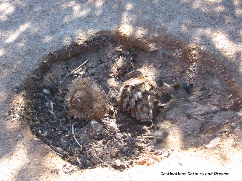 Agave roasting pit