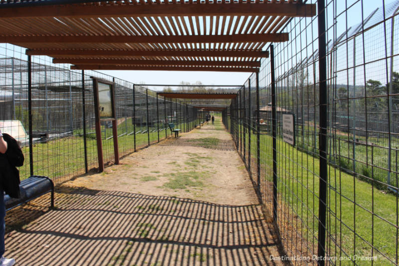 Discovery Area at Turpentine Creek Wildlife Refuge