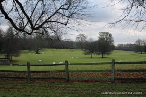 Countryside near Chawton, Hampshire