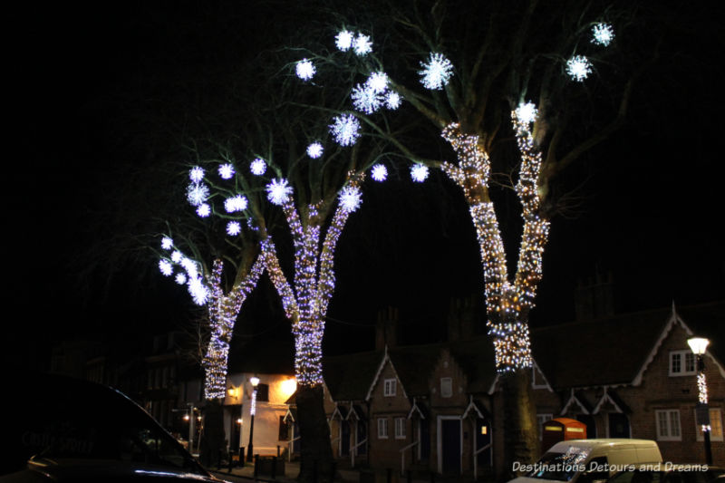 Trees lit up in the town of Farnham, Surrey, England