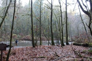 Goldstream Provincial Park