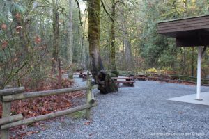 Part of the picnic area at Goldstream Provincial Park on Vancouver Island