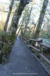 Riverside trail at Goldstream Provincial Park on Vancouver Island