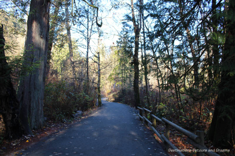 Trail in Goldstream Provincial Park on Vancouver Island