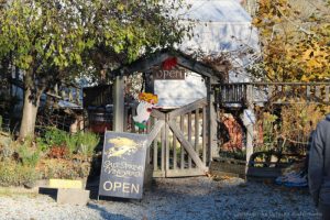 Salt Spring Vineyards, Salt Spring Island, British Columbia, Canada