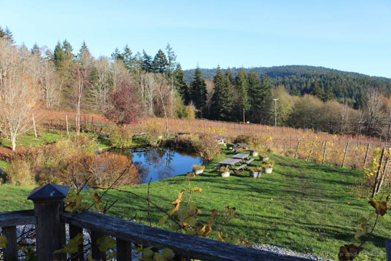 Picnic area at Salt Spring Vineyards, Salt Spring Island, Canada