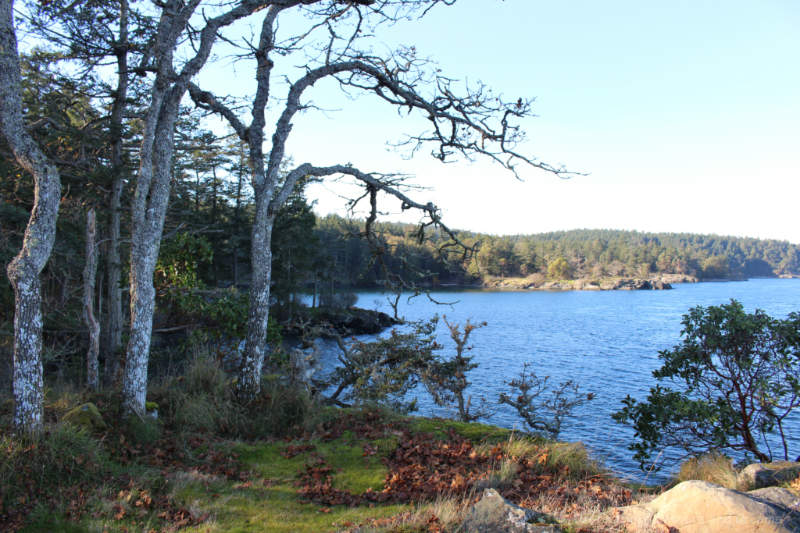 Water view on Salt Spring Island, Canada