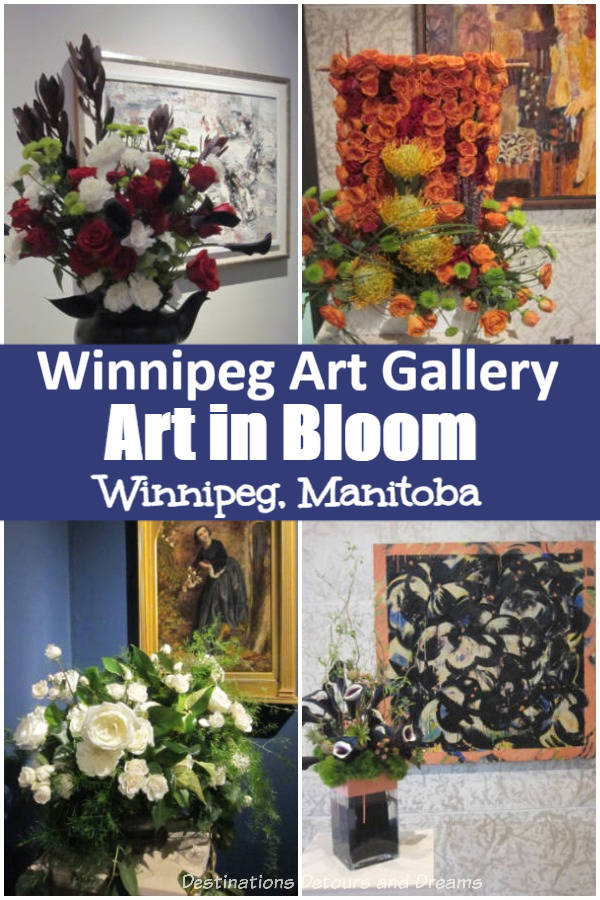 Every second spring, the Art in Bloom exhibit at the Winnipeg Art Gallery in Winnipeg, Manitoba features floral arrangements designed to complement works of art. #Winnipeg #Manitoba #art