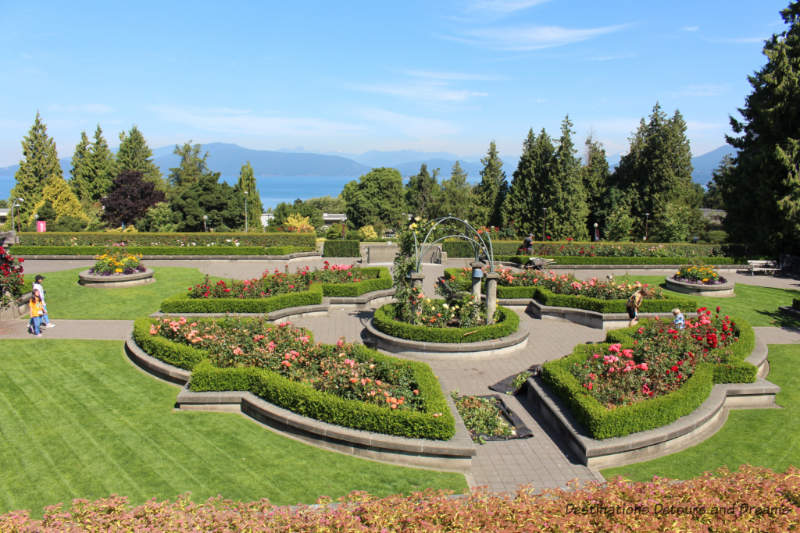 Rose Garden at University of British Columbia campus, Vancouver, Canada