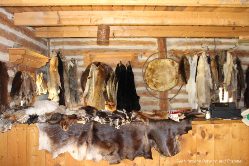 Furs hanging and on the counter in the store at Fort Gibraltar