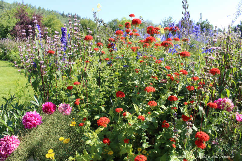 Colourful blooms at Georgeson Botanical Garden in Fairbanks, Alaska