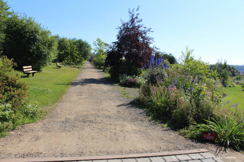 Path at entrance to Georgeson Botanical Garden in Fairbanks, Alaska