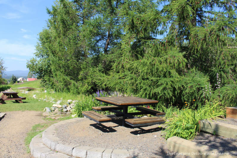 Picnic benches in Georgeson Botanical Garden