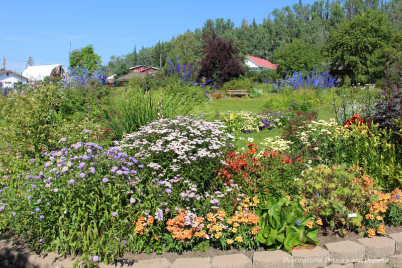 A collection of blooming flowers at the Georgeson Botanical Garden in Fairbanks, Alaska