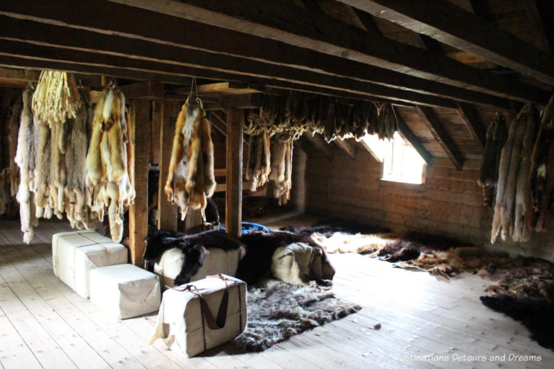 Fur pelts hanging from rafters in the fur loft of Lower Fort Garry