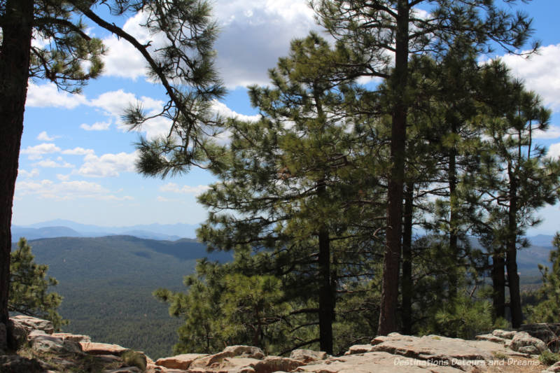 View of cliffs and ponderosa pine forests near the top of Mogollon Rim in  Arizona