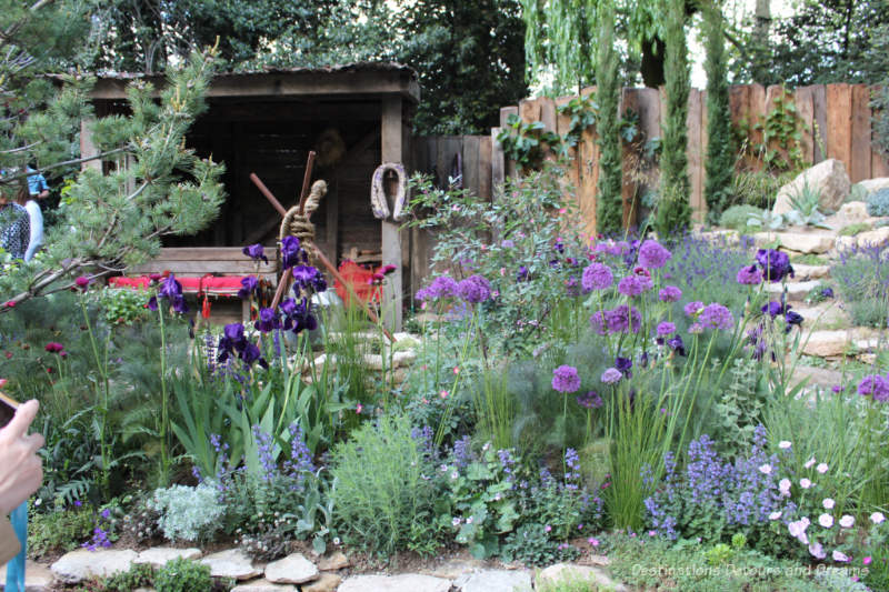 Purple, blue, and green plantings with a rustic shaded seating are behind them form the Donkeys Matter Artisan Garden at the 2019 Chelsea Flower Show